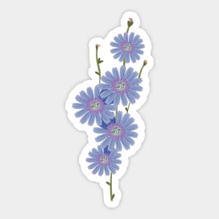 Chicory a bouquet of blue flowers Sticker